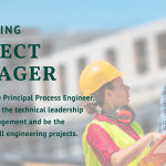 Project Manager Role