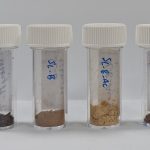 Lignin Samples Sonichem